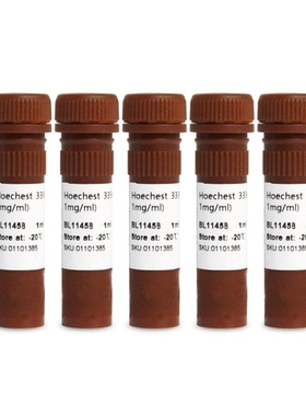 Biosharp/白鲨 BL1145C Hoechst 33342细胞染色液(100x, 1mg/mL)