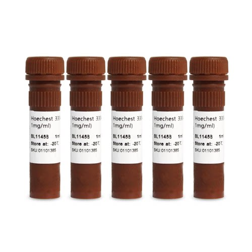 Biosharp/白鲨 BL1145C Hoechst 33342细胞染色液(100x, 1mg/mL)