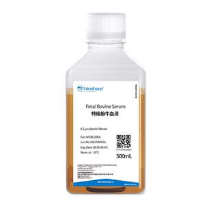量大询价biosharp BL205A 特级胎牛血清 500ml 白鲨