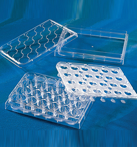 康宁Corning 3378 0.4um孔径，TRANSWELL-24系统膜嵌套，PET膜