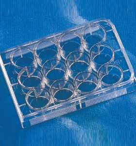 康宁Corning  3737  12孔板，未处理表面带盖灭菌 5/包20包/箱