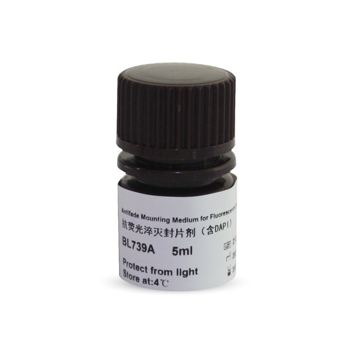 白鲨biosharp BL739A BL739B 抗荧光淬灭封片剂(含DAPI)