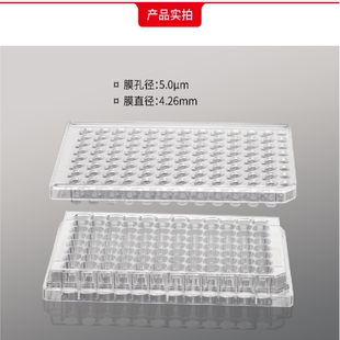96孔板细胞培养小室(PC膜,4.26mm,孔径5.0μm)平替康宁3387 3388