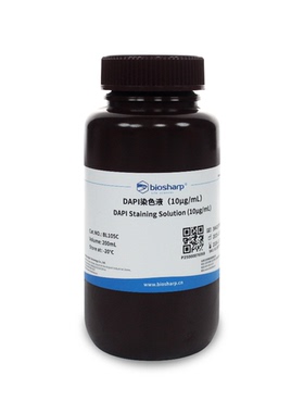 Biosharp/白鲨 BL105C DAPI溶液（即用型）200ml