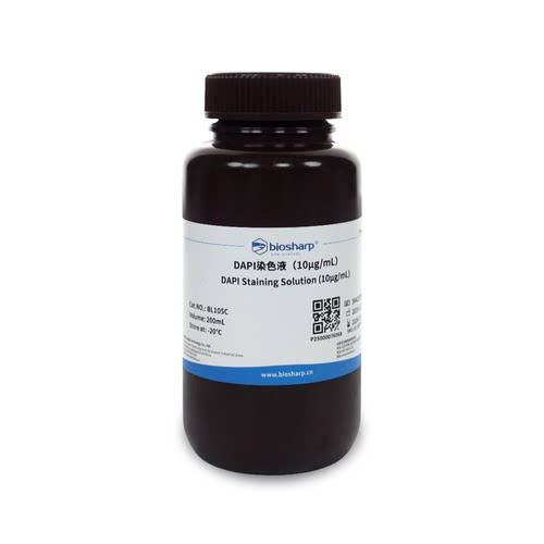 Biosharp/白鲨 BL105C DAPI溶液（即用型）200ml
