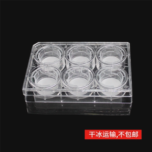 12.0μm 细胞侵袭小室含6孔板 8.0 孔径5.0 基质胶包被PET膜24mm