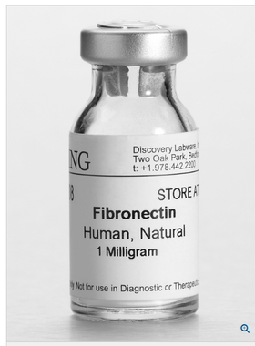 BD Biocoat 354008  356008人纤维连接蛋白, Fibronectin, Human