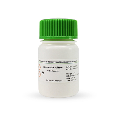 BioFroxx 1162GR005 硫酸卡那霉素Kanamycin Slufate 5g