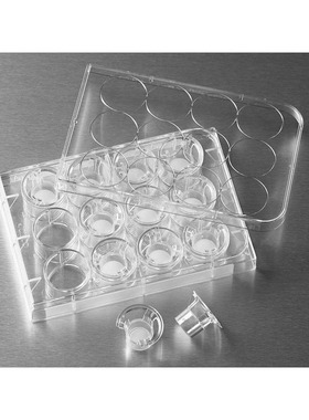 Corning 3402 Transwell嵌套含12孔板 聚碳酸脂膜12mm3.0um康宁