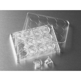 Corning 聚碳酸脂膜12mm3.0um康宁 3402 Transwell嵌套含12孔板