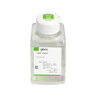 GIBCO 12604-021 TrypLE Express酶 (1X) 不含酚红 500ml