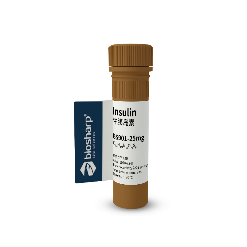 Biosharp BS901-25mg 牛胰岛素/Insulin[25mg]-20℃