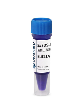 bs BL511A 5x SDS-PAGE蛋白上样缓冲液（变性非还原性）
