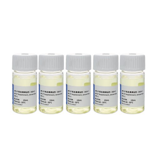 Biosharp/白鲨 BL319B aB-27无血清添加剂（50X) 5x10ml/盒