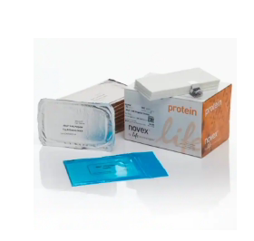 特价孤品 Invitrogen™ IB23001  iBlot™ 2转印膜组硝酸纤维素膜