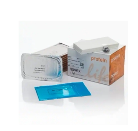 特价孤品 Invitrogen™ IB23001 iBlot™ 2转印膜组硝酸纤维素膜