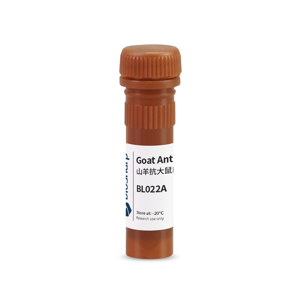 Biosharp BL022A AP标记山羊抗大鼠IgG  0.1ml