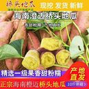 海南澄迈桥头桥沙富硒地瓜金手指黄心板栗薯番薯5斤9斤长圆果 包邮