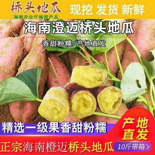 富硒海南澄迈桥头地瓜