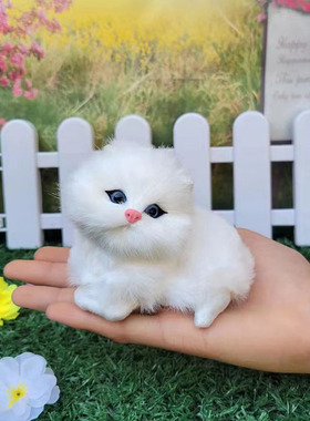 仿真小猫咪动物玩偶小狗小兔会叫模型过家家玩具儿童认知迷你摆件