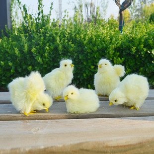 会叫仿真小黄鸡仔模型玩偶儿童玩具小鸡崽玩具公仔小鸡娃道具假鸡