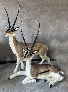 仿真羚羊模型藏羚羊摆件