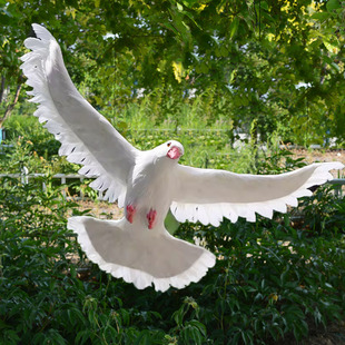 仿真鸽子和平鸽摆件假鸽子模型婚庆装饰用品动物模型鸟类标本道具