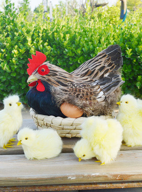 农场超市装饰田园装饰摆件仿真鸡