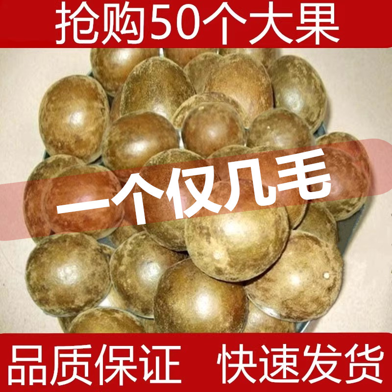 罗汉果干果中药材香料野生广西桂林永福特产罗汉果茶配胖大海菊花