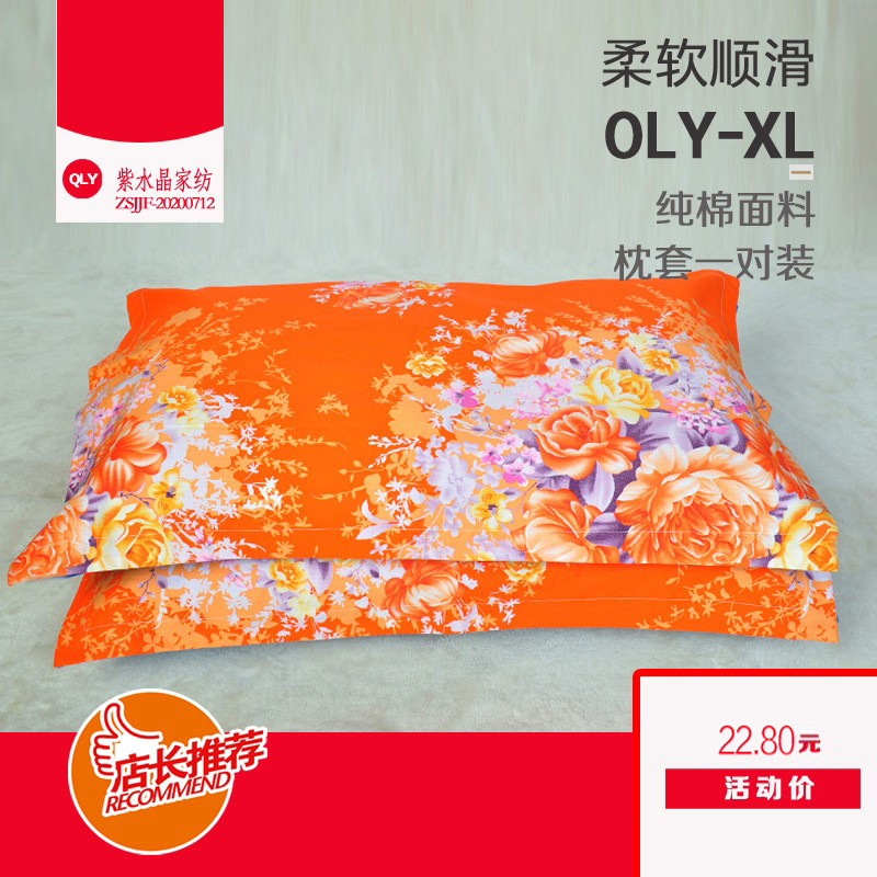 纯棉枕套枕芯套一对全棉