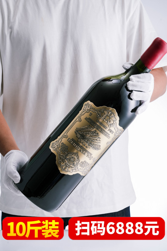 十斤大瓶装蜡封金属标法国原酒进口红酒整箱送礼盒5L装干红葡萄酒