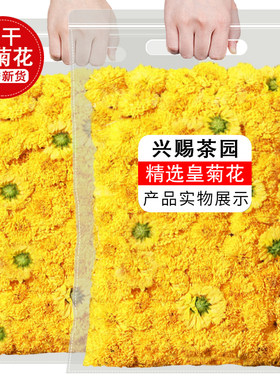 正宗野生菊花茶婺源黄菊