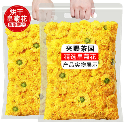 正宗黄山婺源皇菊500g特级黄贡菊干花配枸杞子泡水正品野生菊花茶