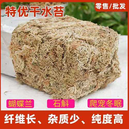 优质干水苔藓蝴蝶兰花专用干薹藓种植物铁皮石斛绿植花盆爬宠造景