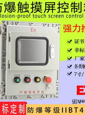 防爆触摸屏箱仪器仪表通用防爆箱可根据客户要求开安装孔IIB T4/6