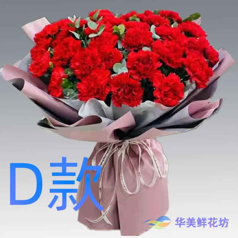 生日康乃馨内蒙古呼和浩特送花店托克托县清水河武川同城鲜花快递