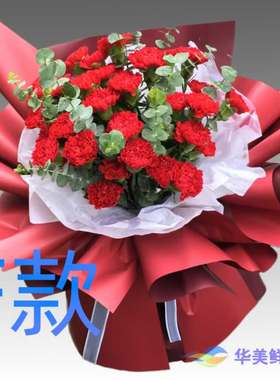 生日纪念康乃馨吉林延边花店送花延吉市图们市敦化市同城鲜花速递