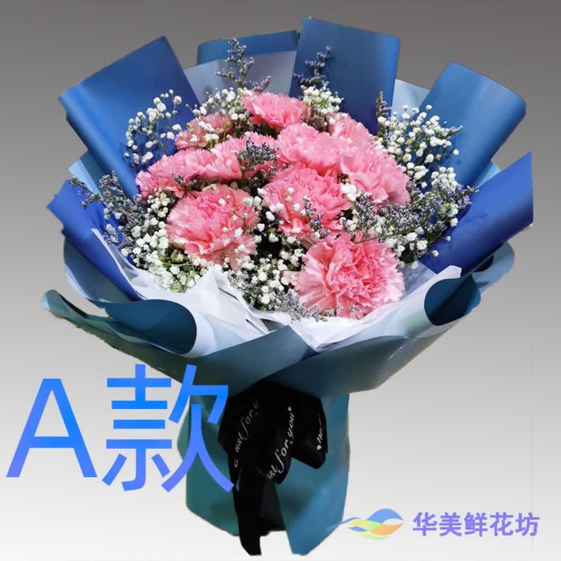 生日慰问康乃馨安徽宣城订花店送花广德县泾县旌德县同城鲜花快递