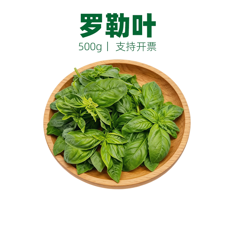 罗勒叶西餐香料食用青酱