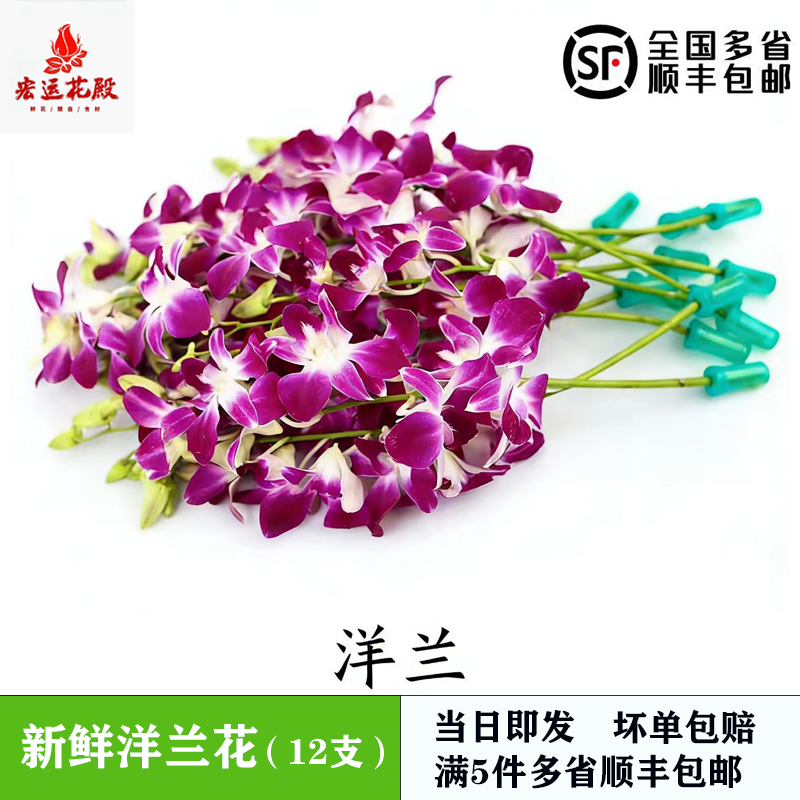 新鲜杨兰花 石斛兰 万代兰 洋兰花12支/包食用花火锅冷菜酒店摆盘,水产肉类/新鲜蔬果/熟食,其它,淘宝优惠券,粉丝福利购,淘宝优惠卷