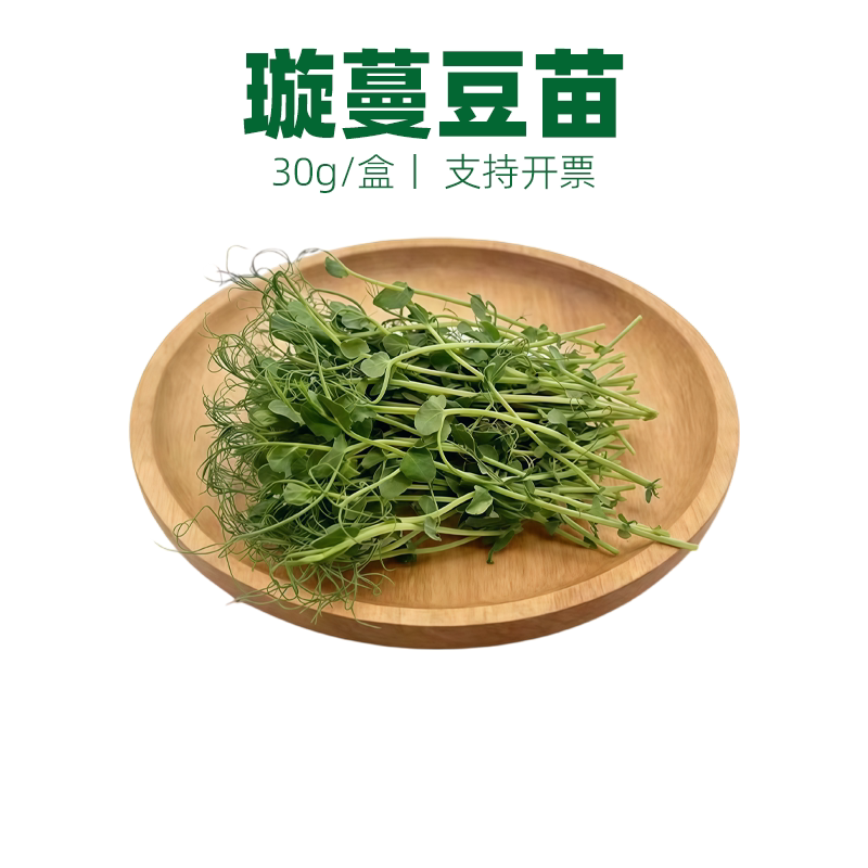 新鲜水培璇蔓豆苗龙须苗西餐食材摆盘装饰芽苗素食沙拉豌豆苗30g