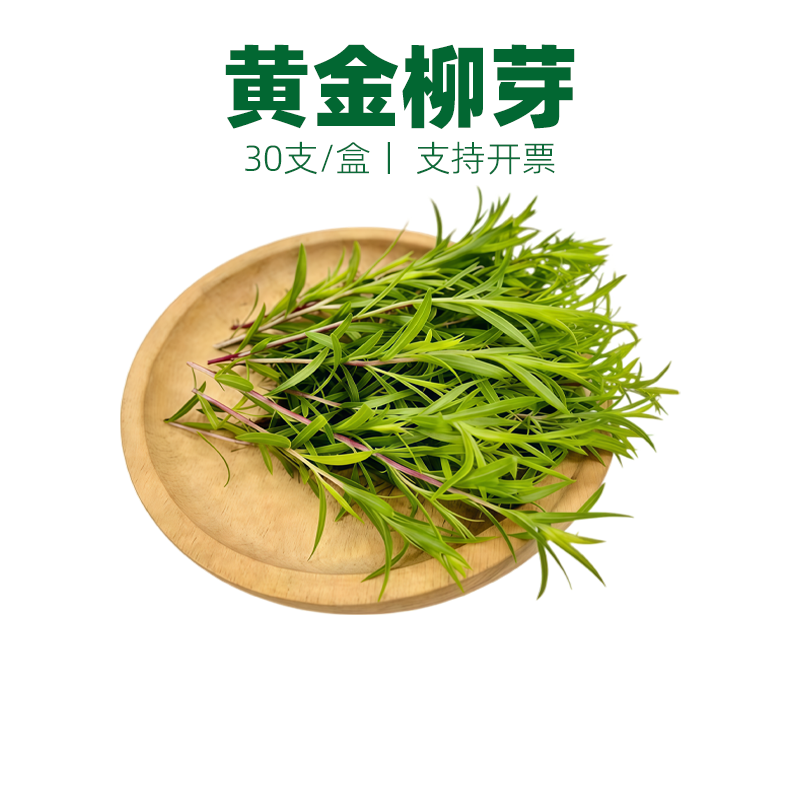 新鲜黄金柳芽嫩芽酒店西餐日料烘焙调酒蛋糕摆盘装饰花草点缀叶子