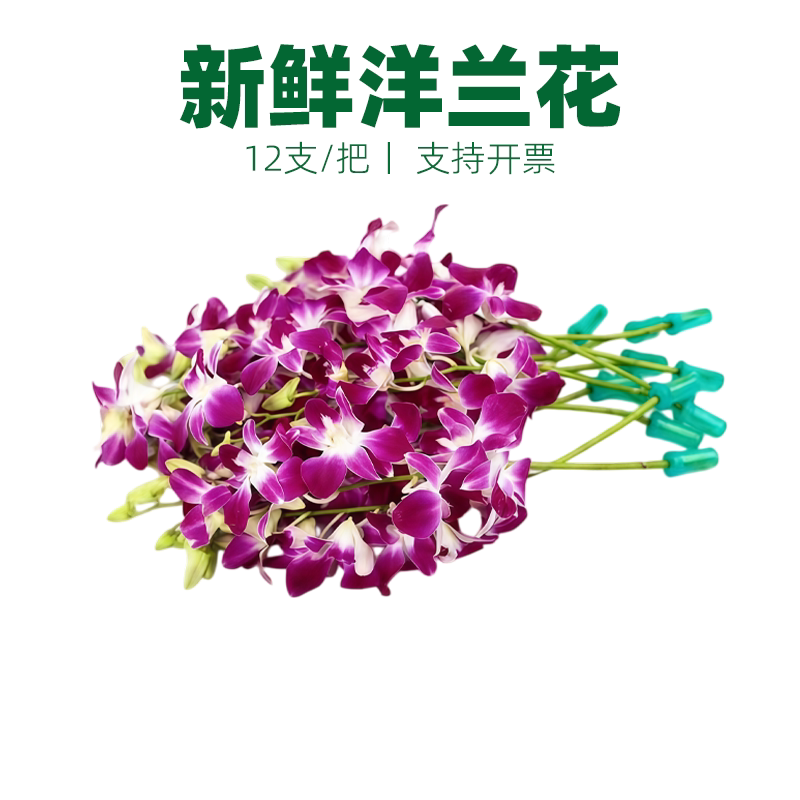 杨兰花洋兰食用花石斛兰摆盘花