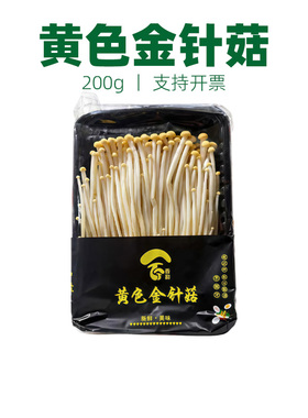 新鲜黄金针菇【顺丰包邮】黄色金针菇 脆爽鲜香 煲汤凉拌火锅食材