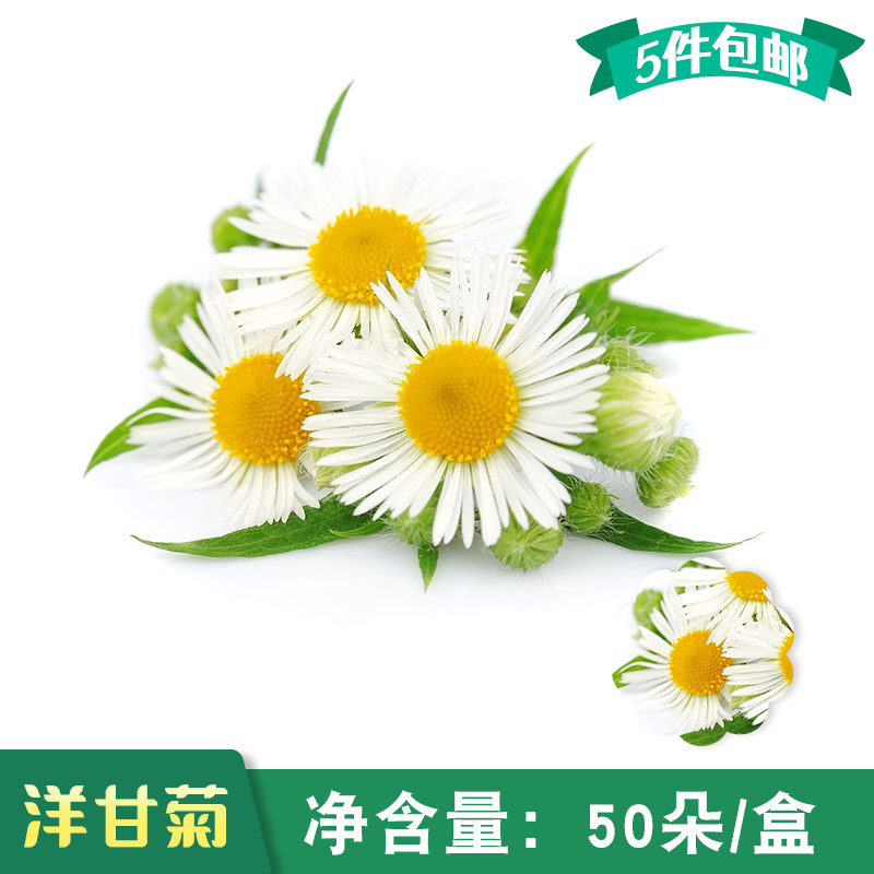 新鲜 洋甘菊 小白菊50朵/盒 冷菜酒店餐饮日料冷盘摆盘装饰花草