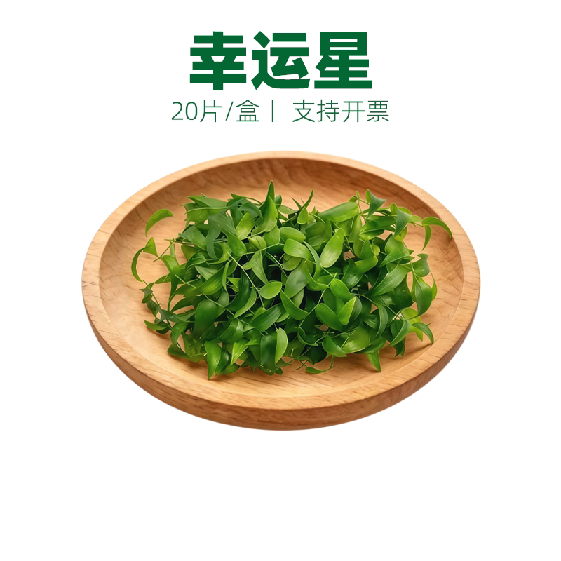 幸运星酒店冷菜摆盘装饰