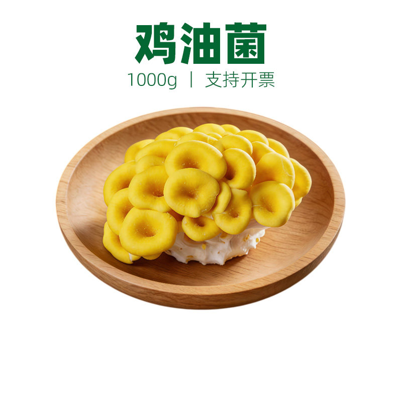 新鲜鸡油菌2斤/盒鸡油菇榆黄菇黄金菇火锅特色食材食用蘑菇