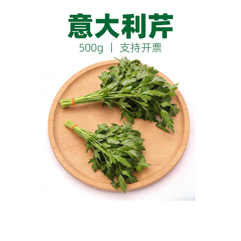 新鲜蔬菜意大利芹 欧芹  芹法国香菜 巴西里香料 西餐食材500g