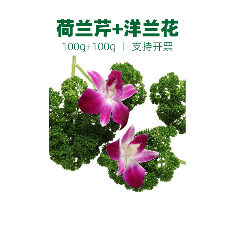 杨兰花法香组合摆盘装饰花