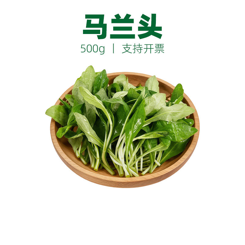 马兰头山坡菜时令野菜
